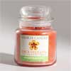 Candles Shop